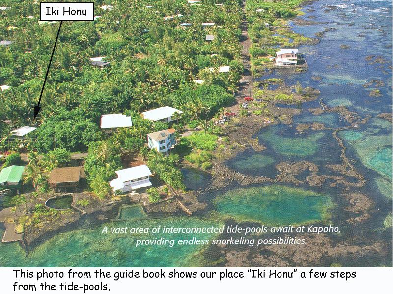05 iki_honu_1